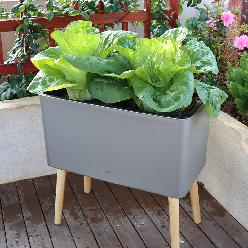 ZJ06/07 Elegant Practical Mainted Blumentopf