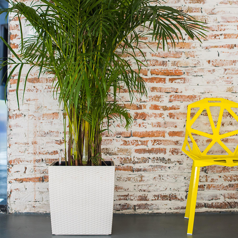 TB-03 einzigartiger zarter Rattan-Blumentopf