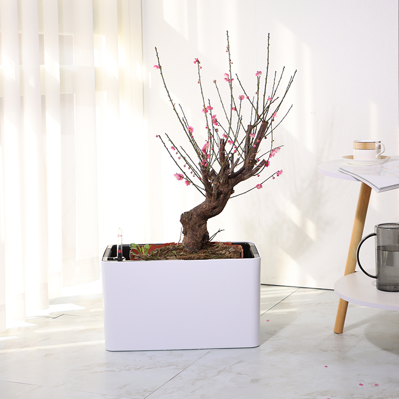 ZJ06/07 Elegant Practical Mainted Blumentopf