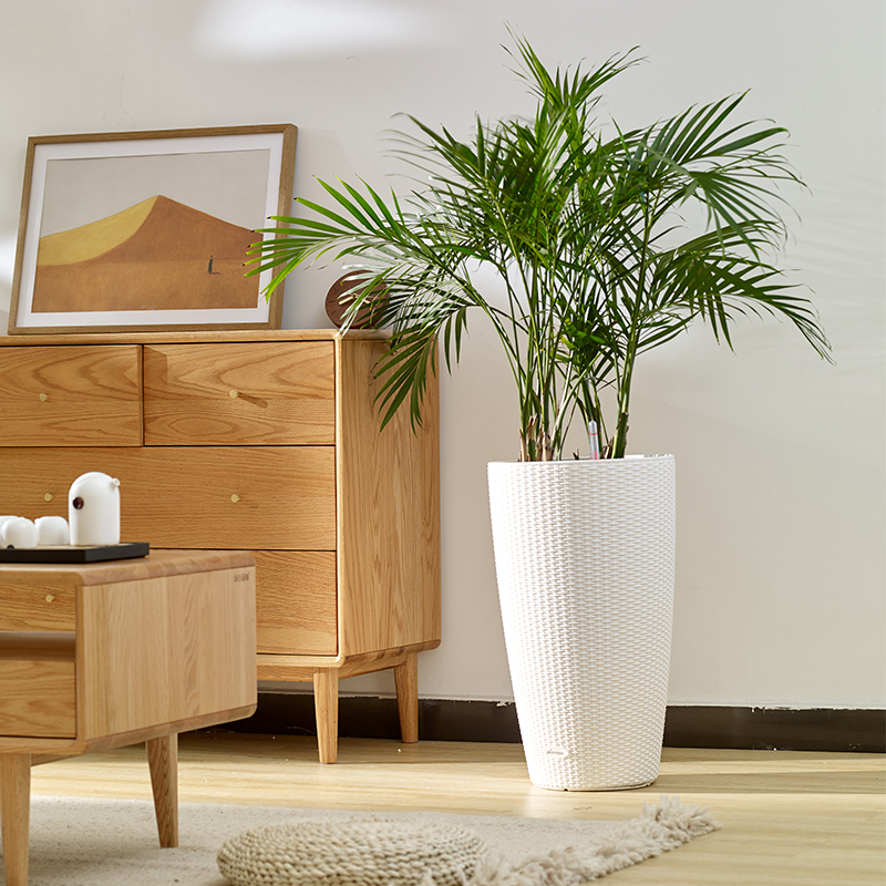 TB-3301 Tragbarer harmonischer Rattan-Blumentopf