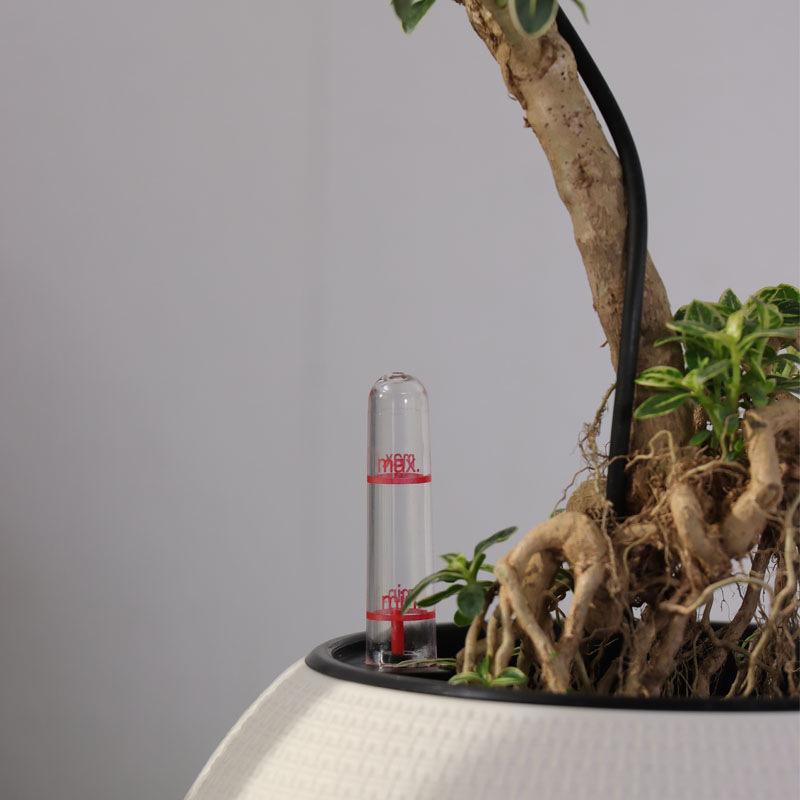 YQ-1 Eleganter zarter Rattan Blumentopf