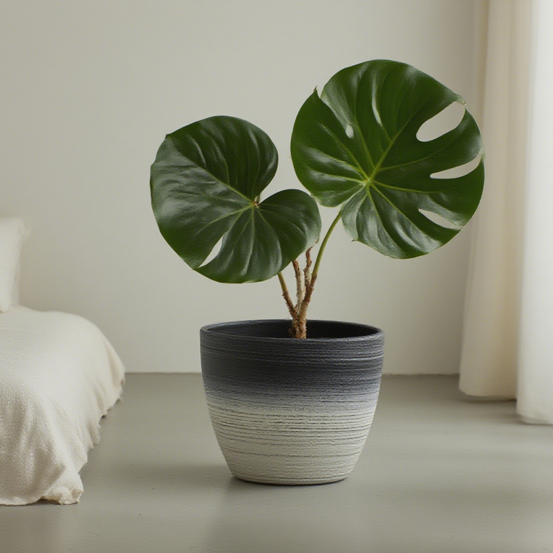 Runder sandgestrahlter Blumentopf mit zweifarbiger Strichzeichnung
