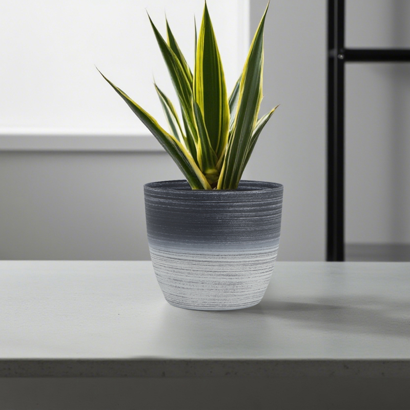 Runder sandgestrahlter Blumentopf mit zweifarbiger Strichzeichnung